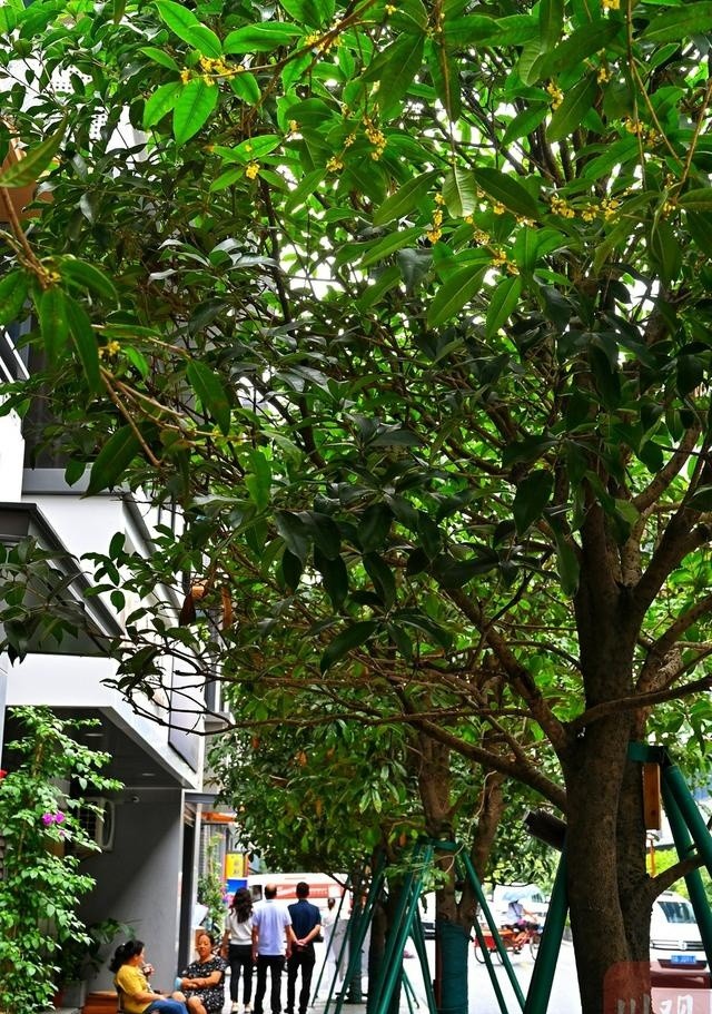 image_3.jpg