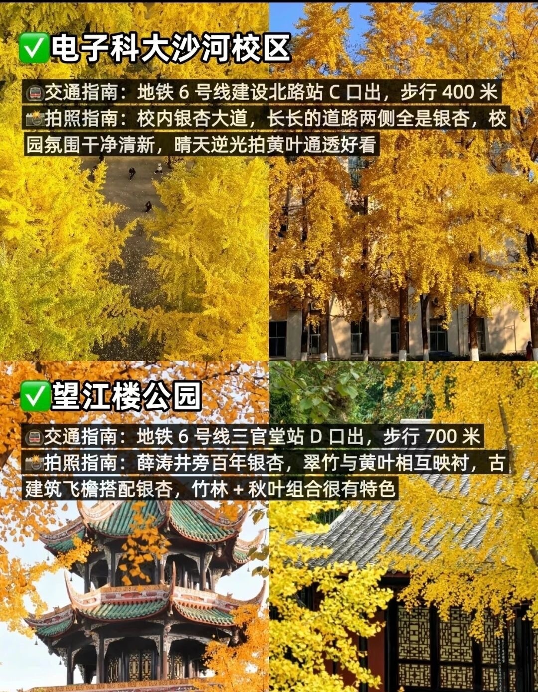 image_4.jpg