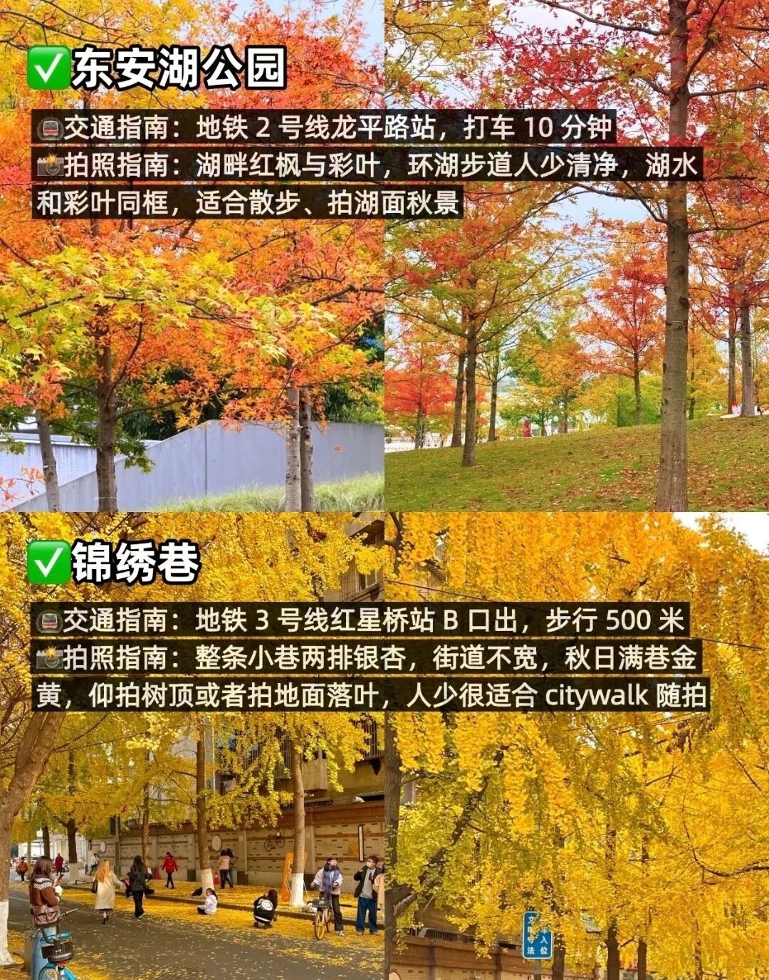 image_3.jpg
