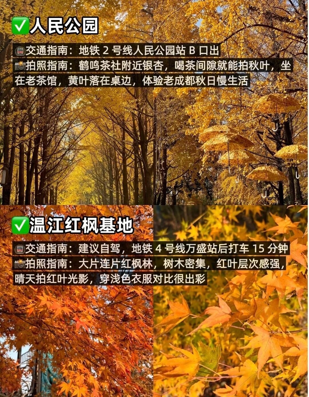 image_6.jpg