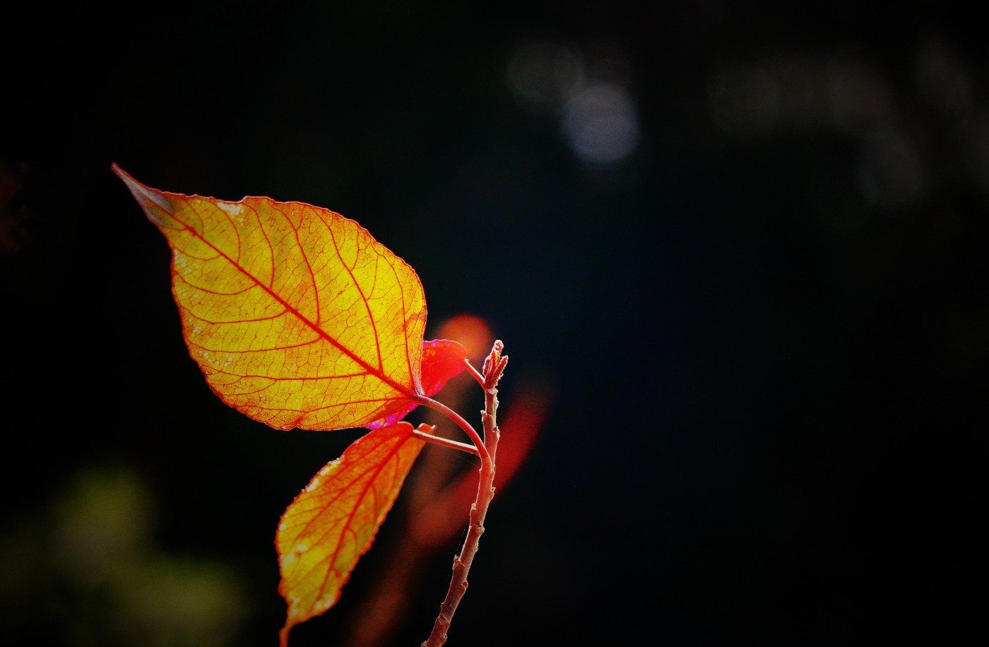 retouch_2023102009115500.jpg