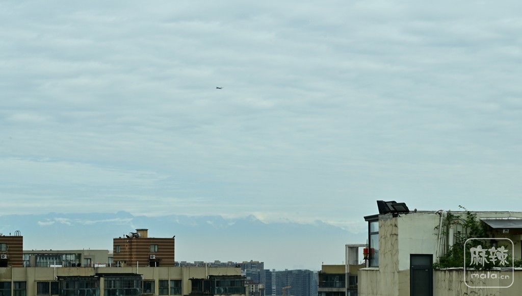 DSC_6887_����.jpg