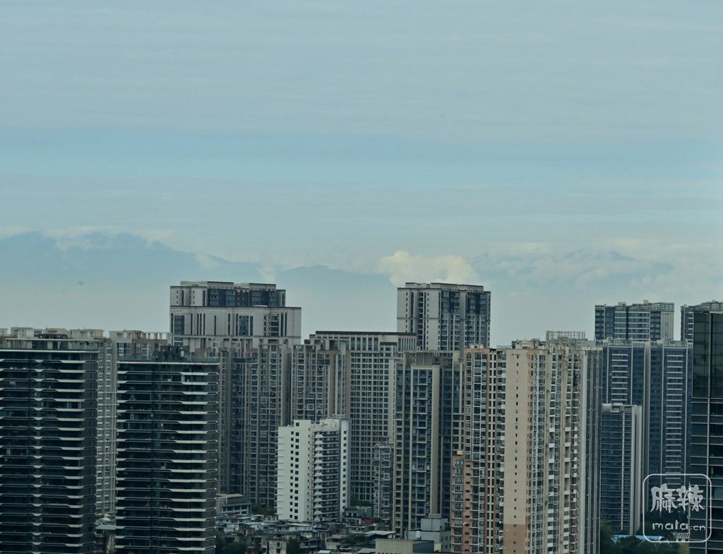 DSC_6893_����.jpg