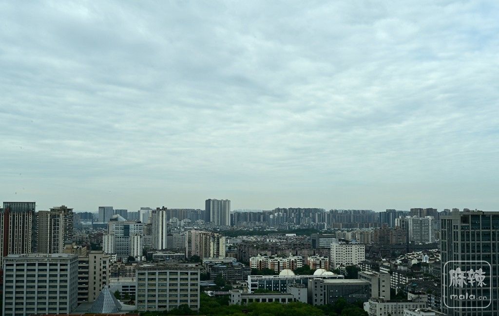 DSC_6906_����.jpg