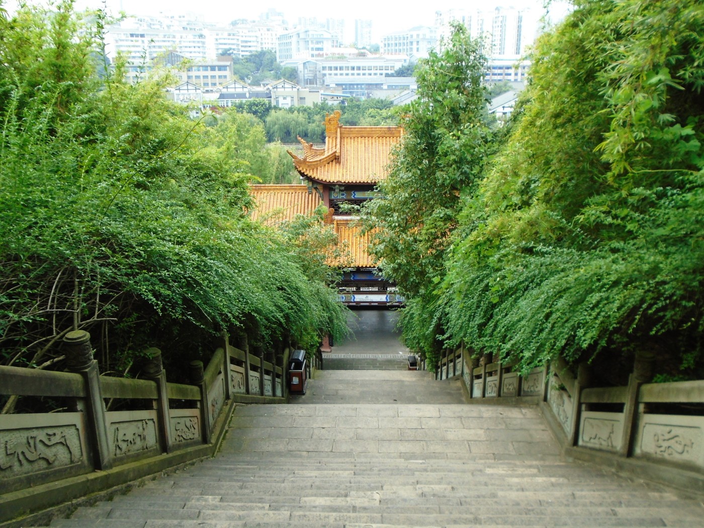 DSC06315.JPG