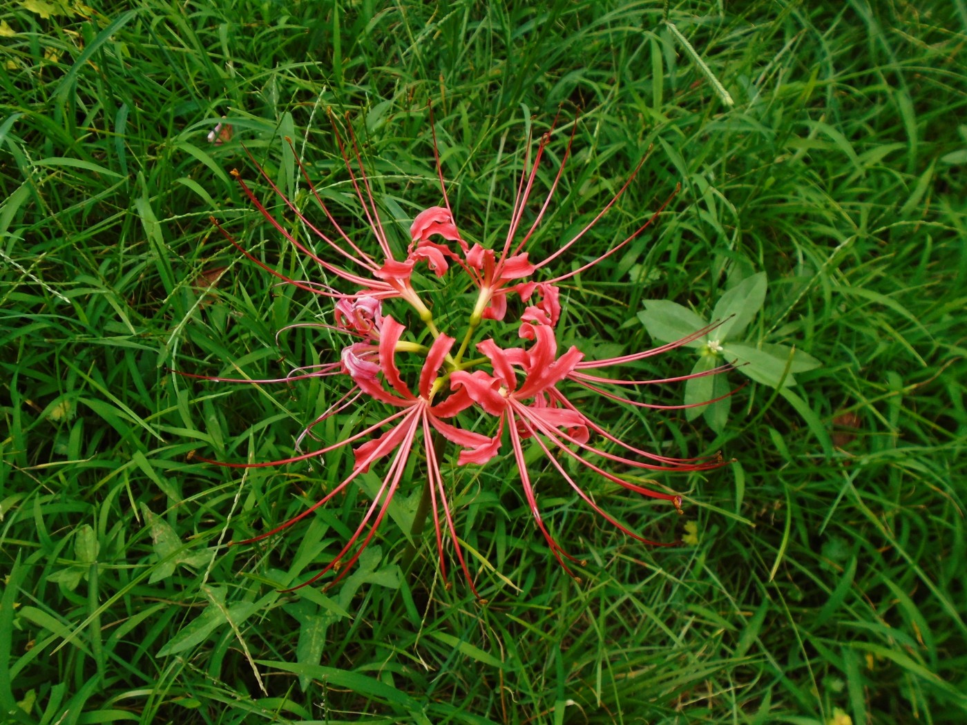 DSC06328.JPG