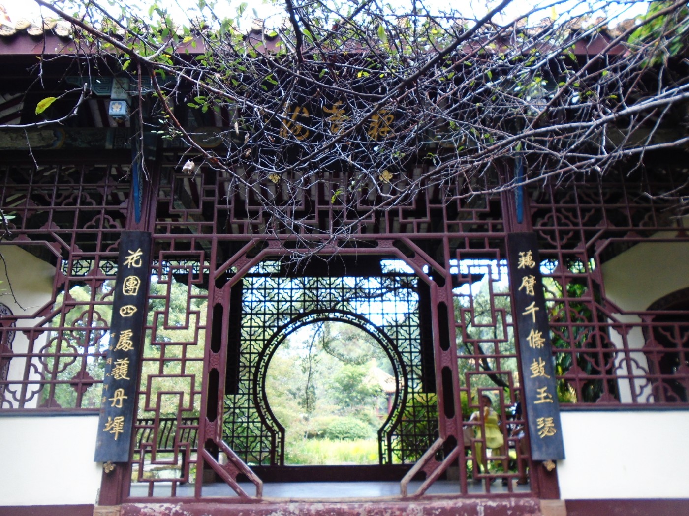 DSC06338.JPG