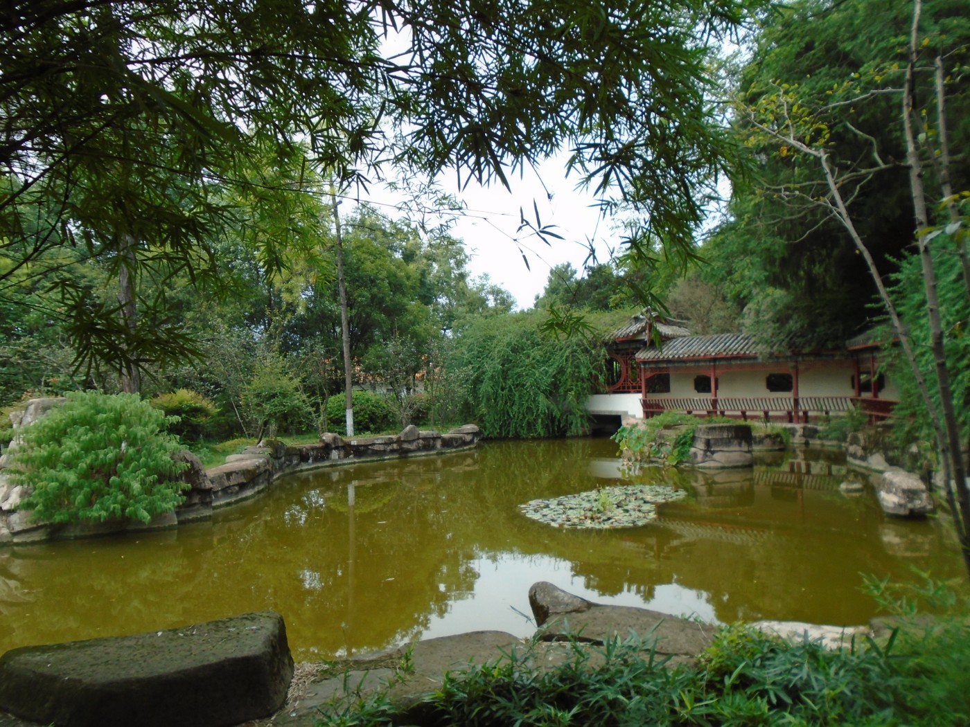 DSC06359.JPG