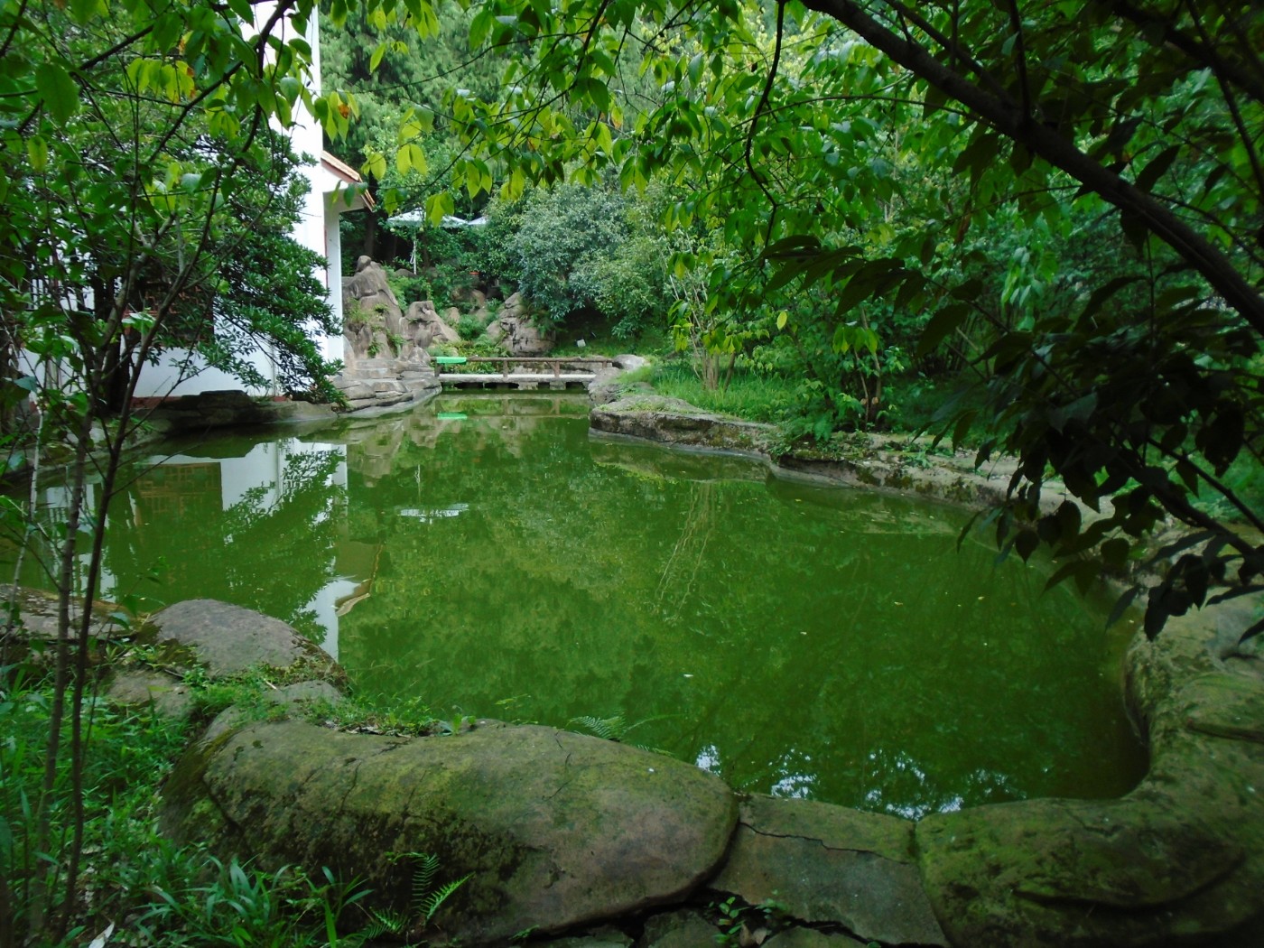 DSC06365.JPG