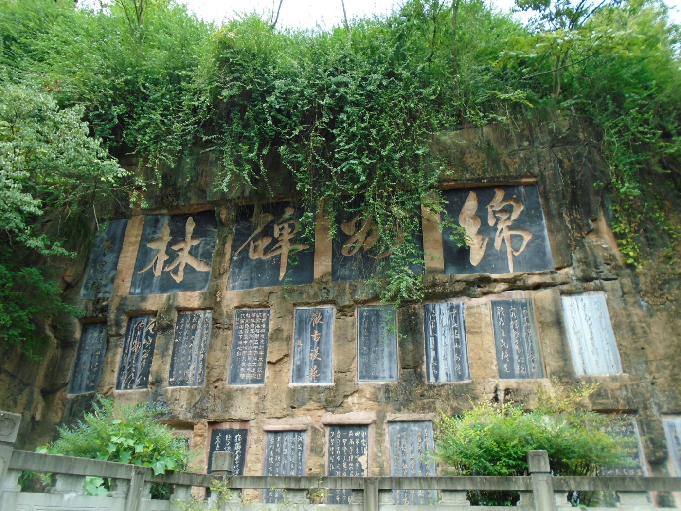 DSC06379.JPG