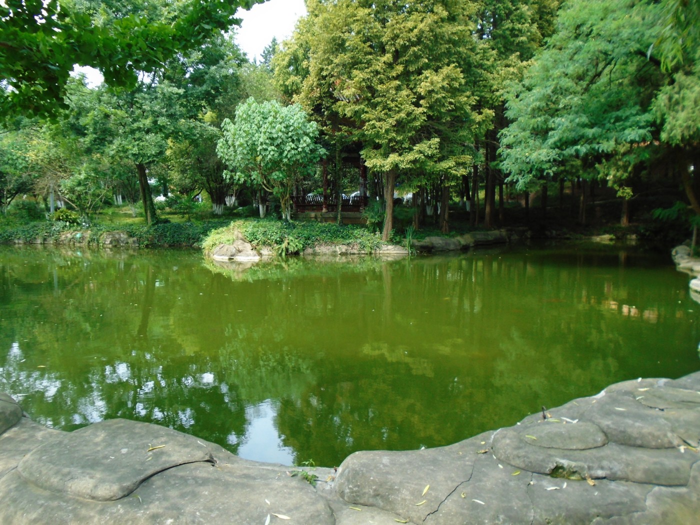 DSC06374.JPG