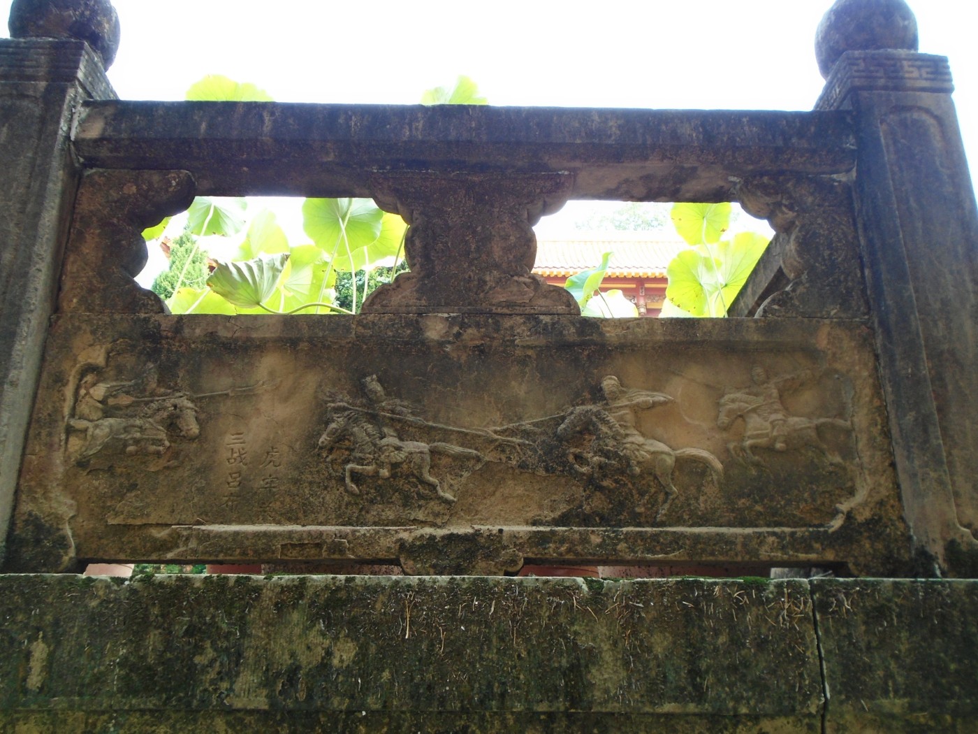 DSC06414.JPG