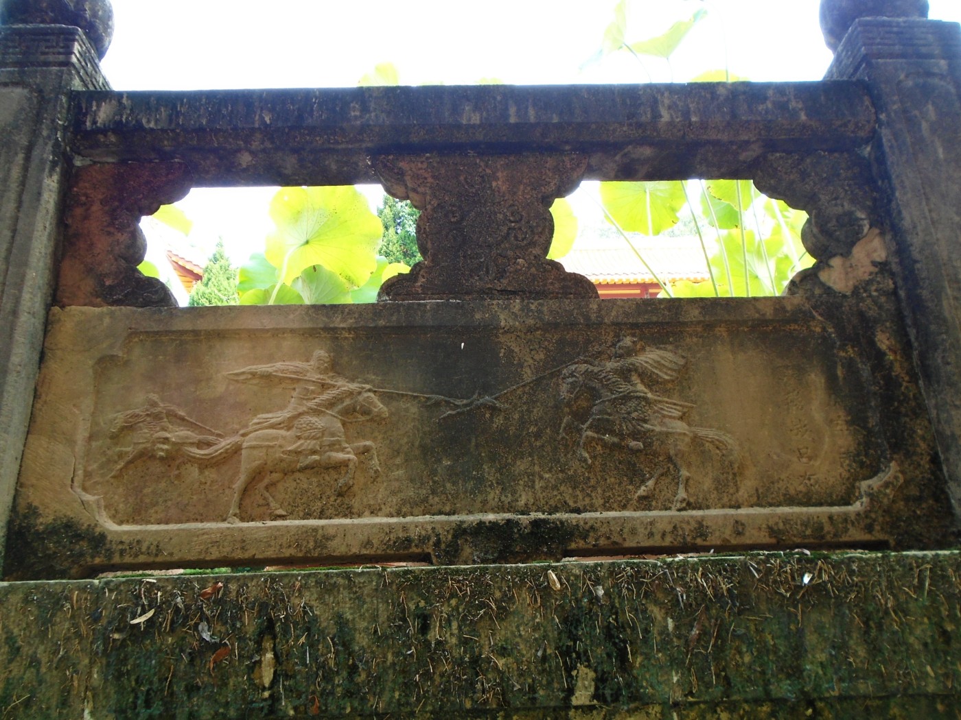 DSC06415.JPG