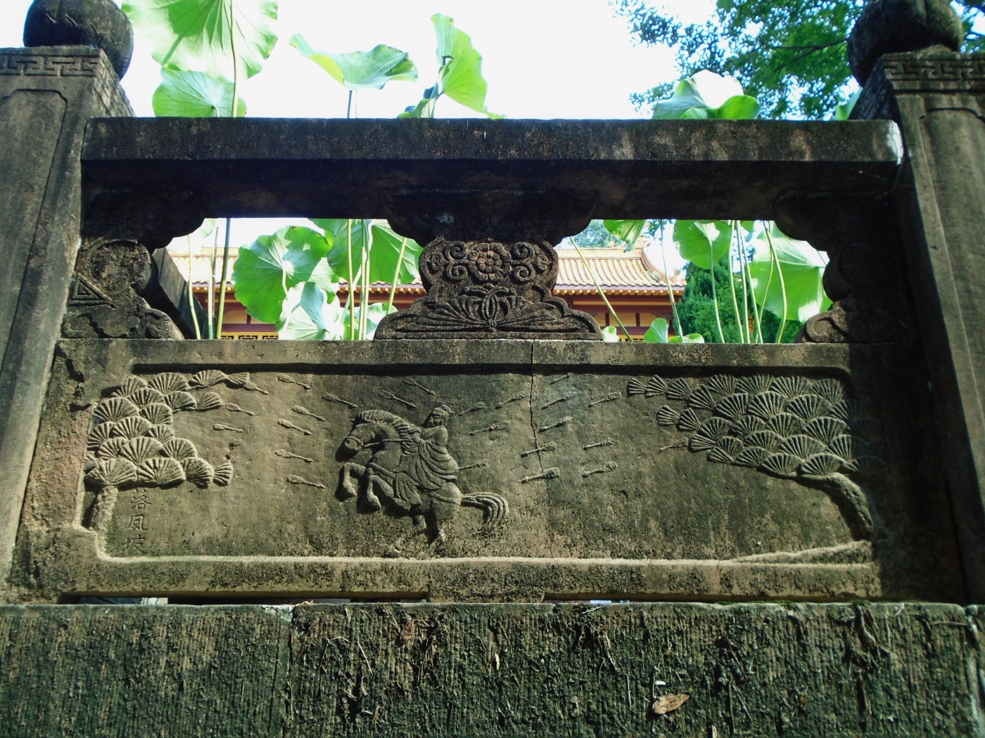 DSC06419.JPG