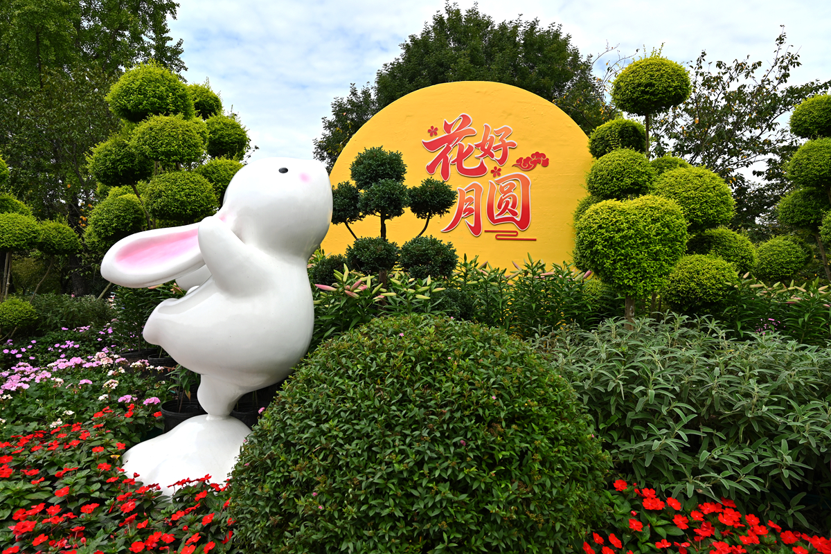 DSC_0176_����.jpg