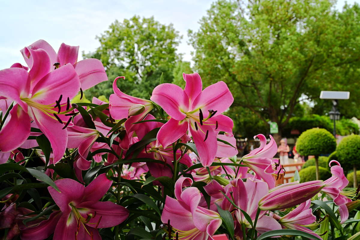 DSC_0188_����.jpg