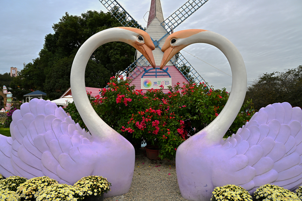 DSC_0205_����.jpg