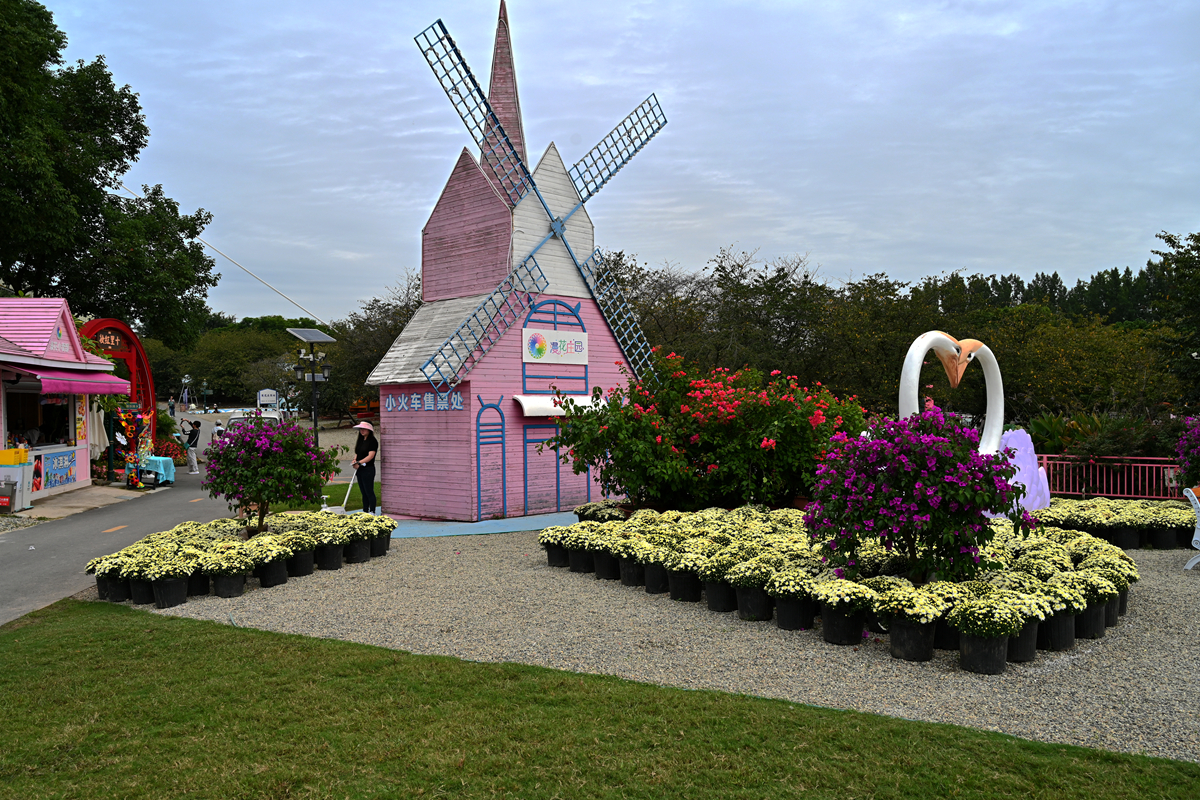 DSC_0210_����.jpg