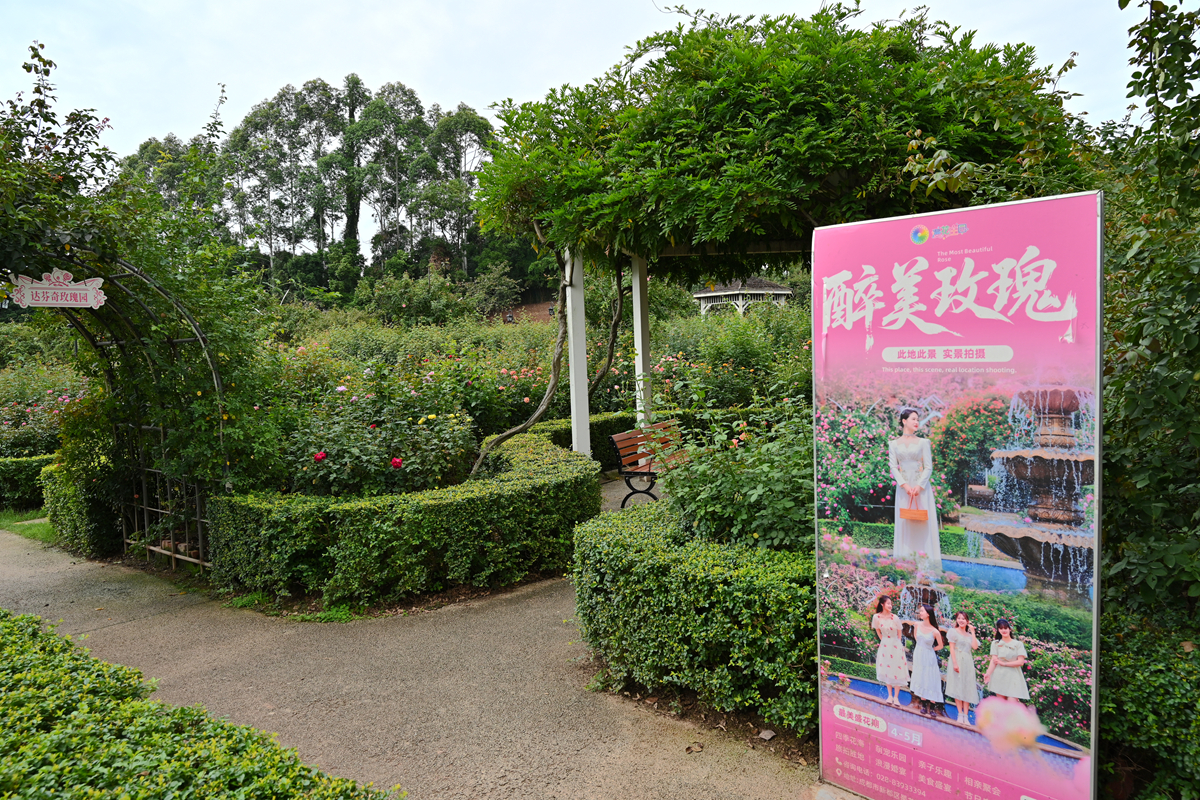 DSC_0233_����.jpg