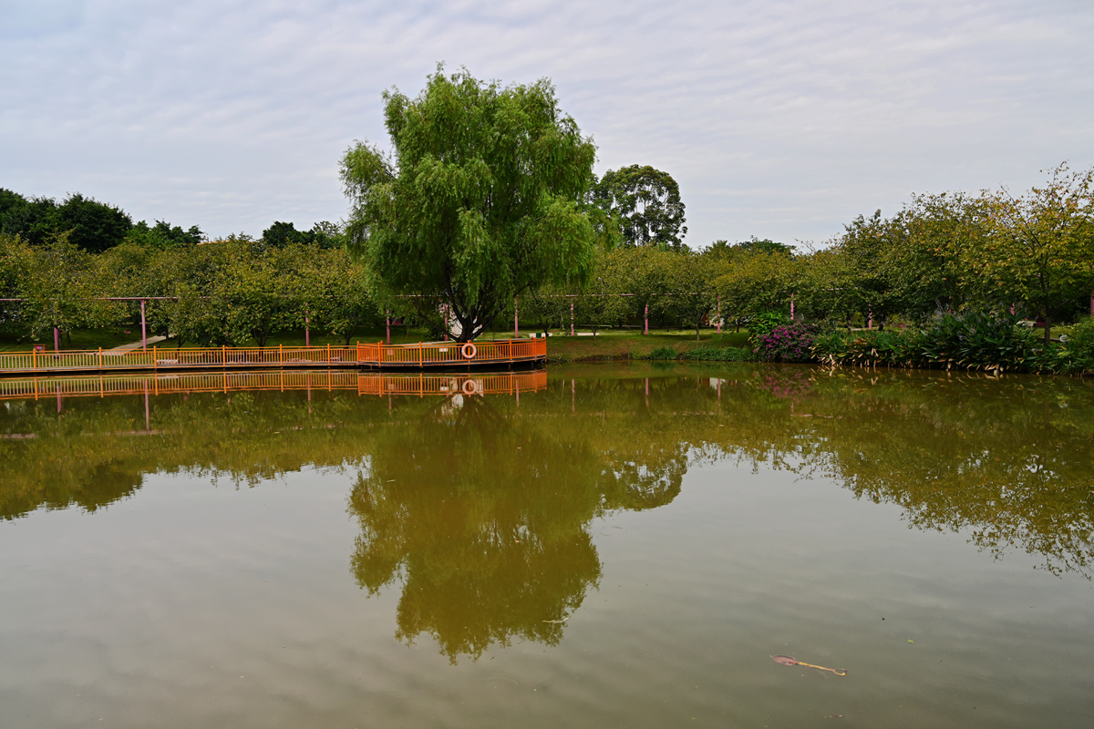 DSC_0287_����.jpg