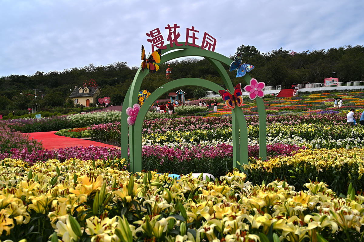 DSC_0305_����.jpg