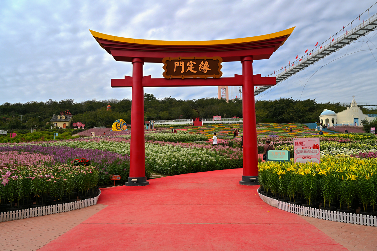 DSC_0309_����.jpg