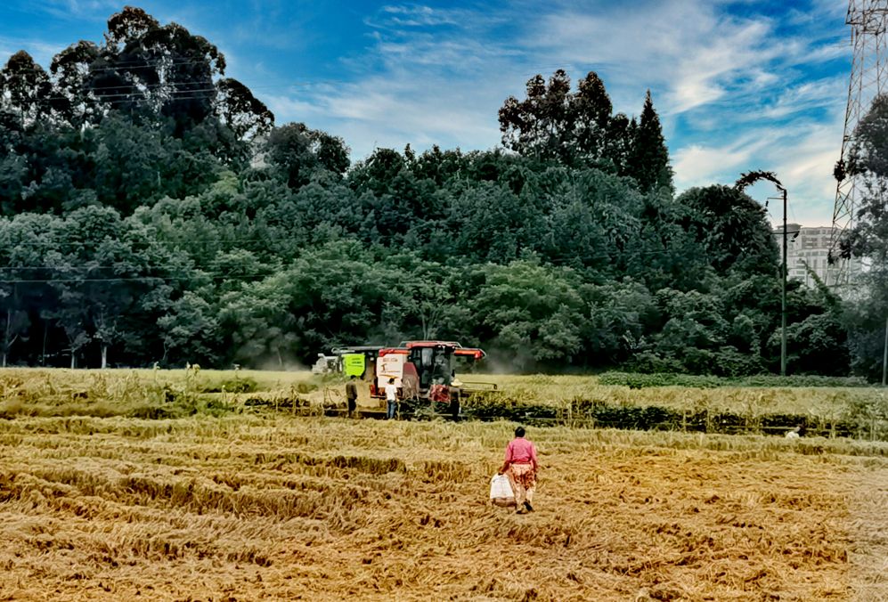 20261002170252front2_0_7414607_Fn7_5ZWSpD4zd7XQ23anNnV2H3vK.jpg