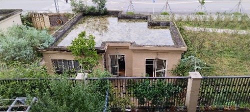 IMG_20261003_173117.jpg