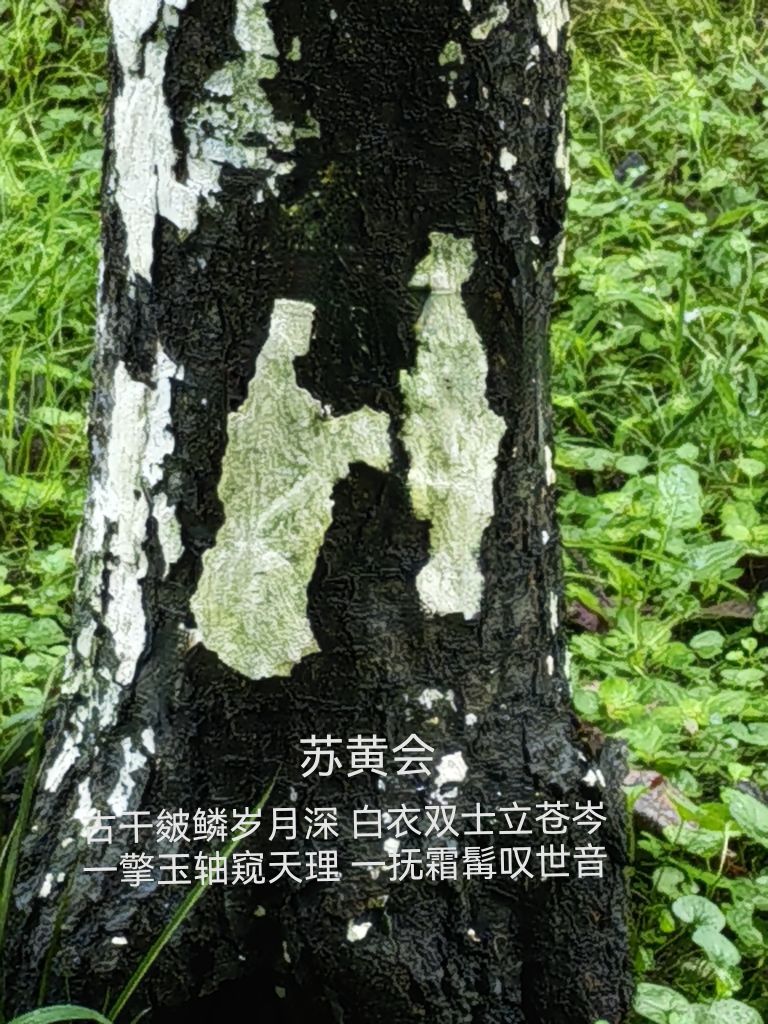 20261004063616front2_0_6080161_FsYUVKcSgQ3TftxoUaxpb_v5Ht2m.jpg
