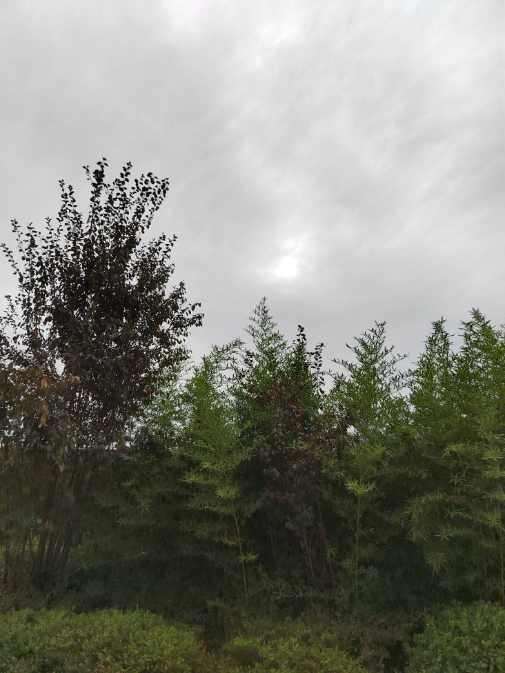 20261004171400front2_0_619982_FgYUvkZYYhfsyUnp9YbH4j0SYAPh.jpg