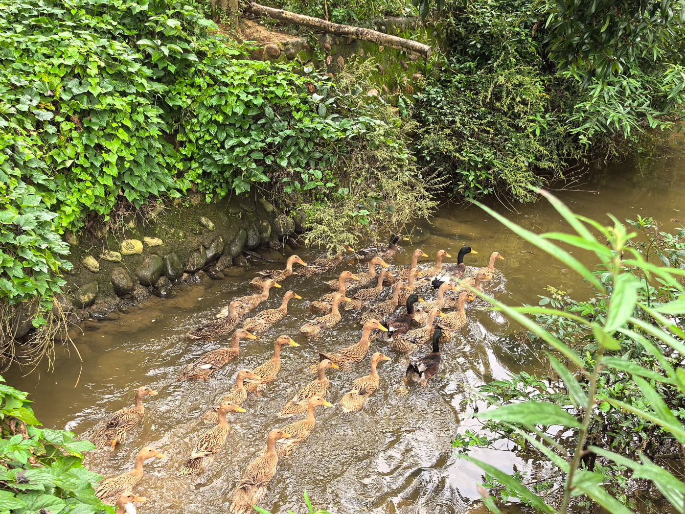 2059176b40ca447f372990e7d12761a2.jpg