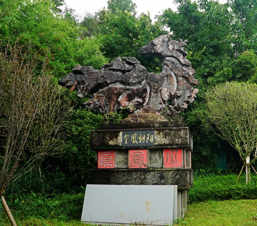 DSC01310_conew1.jpg