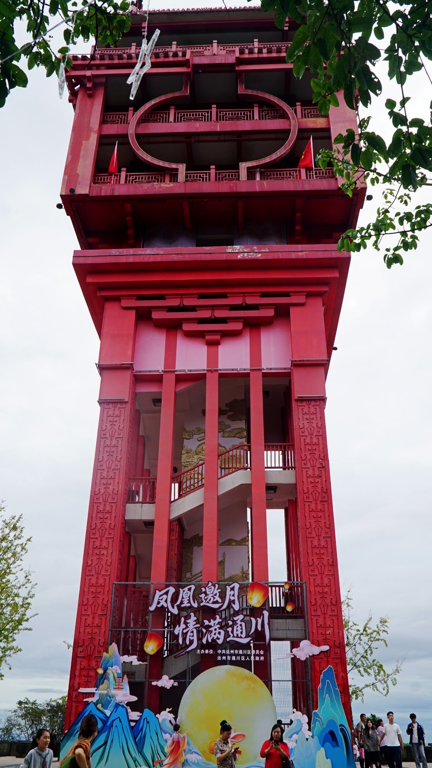 DSC01320_conew1.jpg