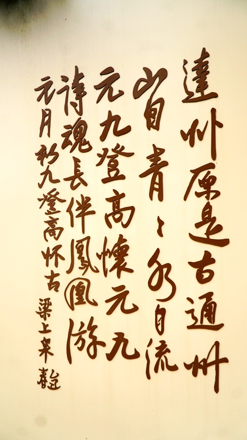 DSC01327_conew1.jpg