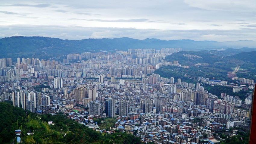 DSC01312_conew1.jpg
