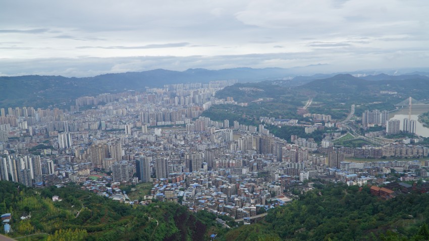 DSC01314_conew1.jpg