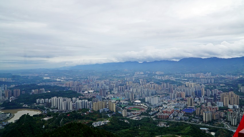 DSC01315_conew1.jpg