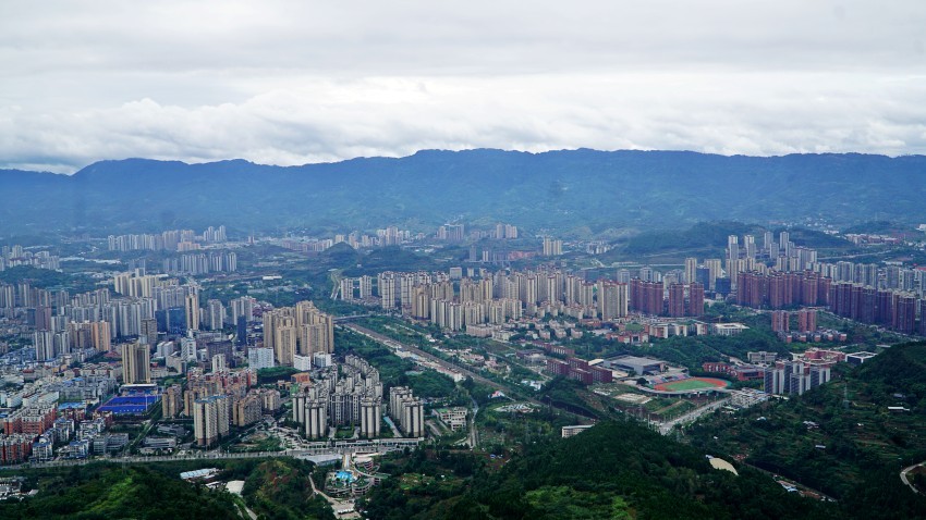 DSC01317_conew1.jpg