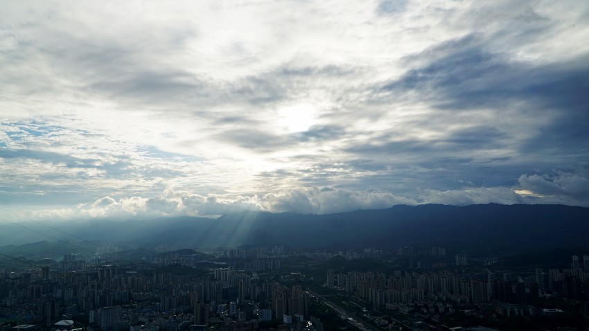 DSC01333_conew1.jpg