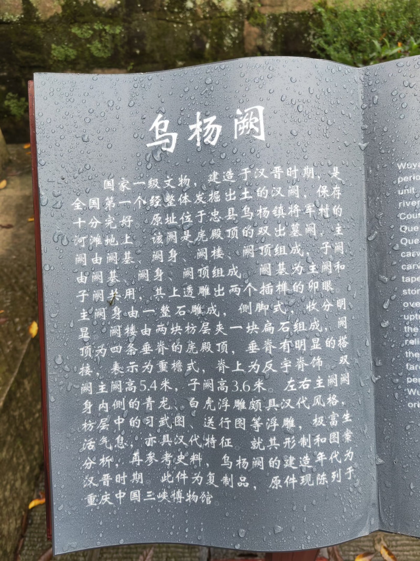 57.jpg