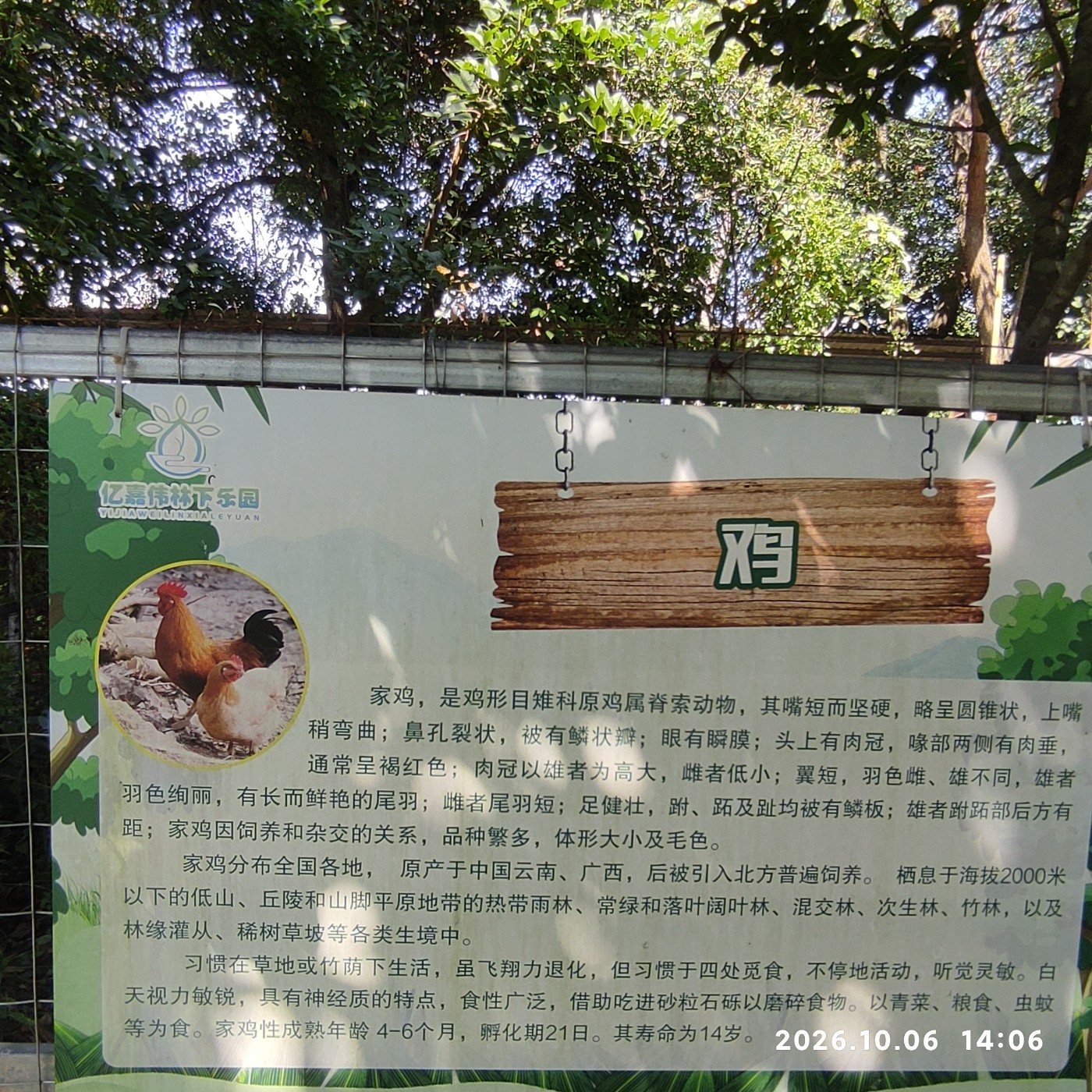 1791377961057.jpg
