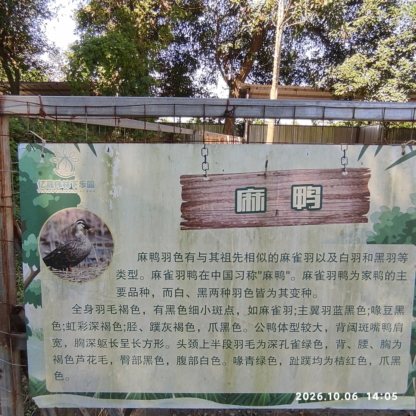 1791377961170.jpg