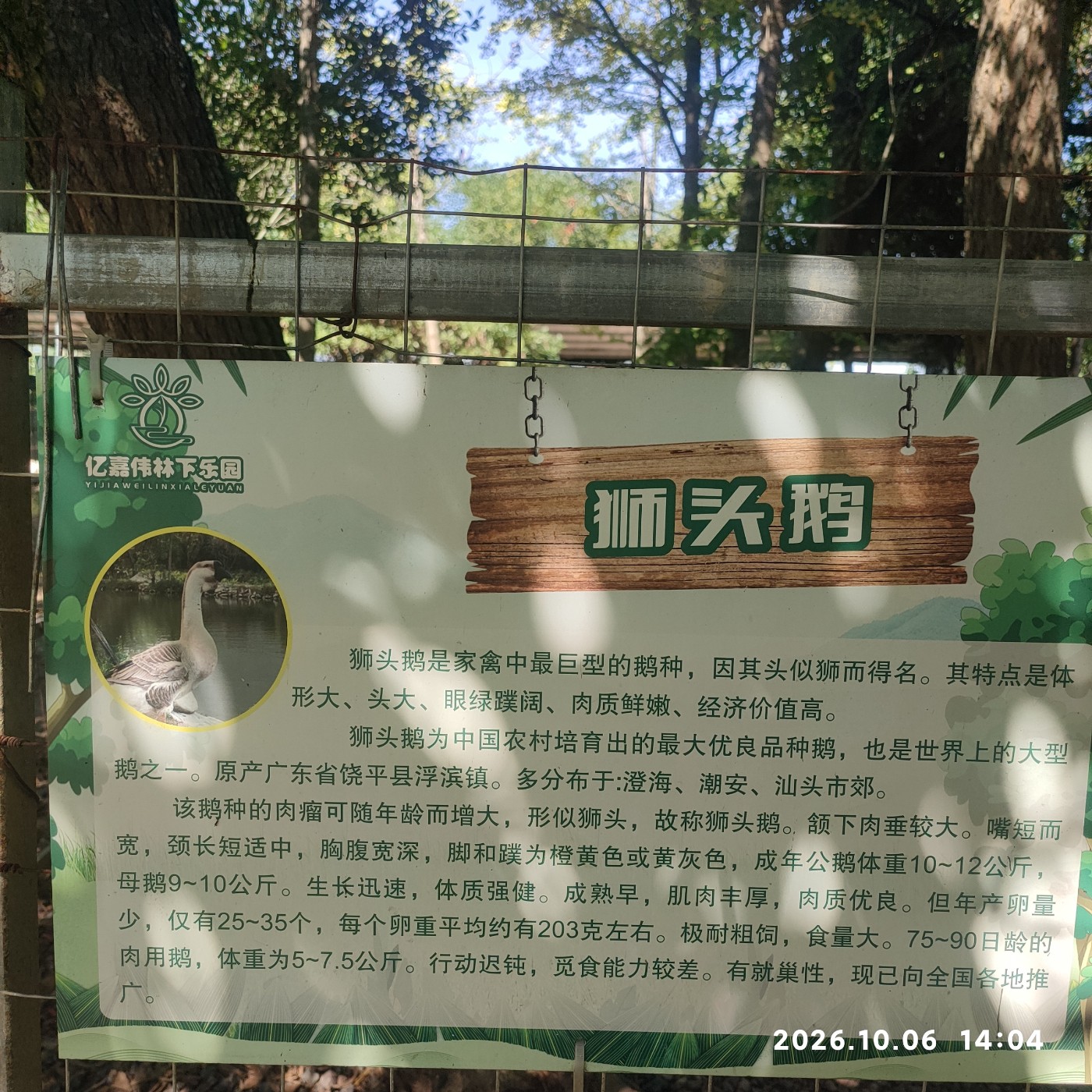 1791377961290.jpg