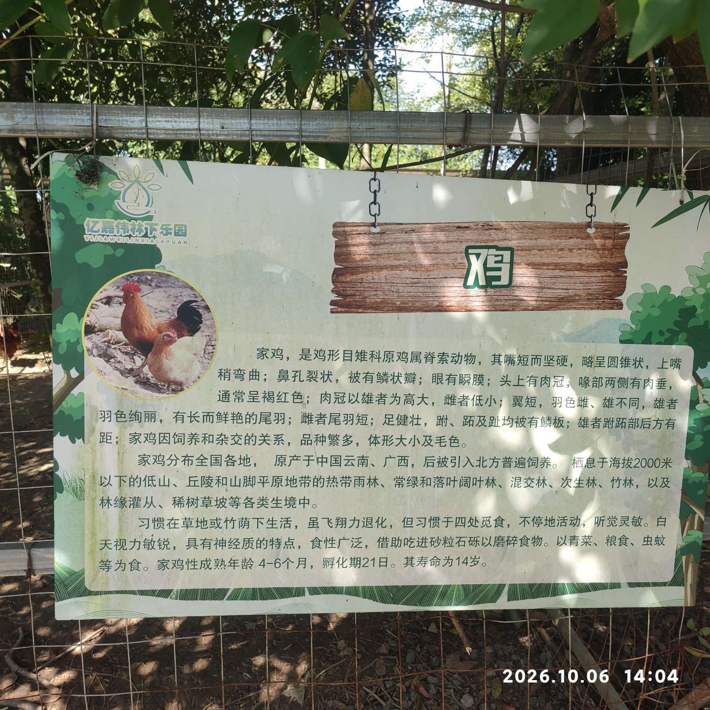 1791377961407.jpg