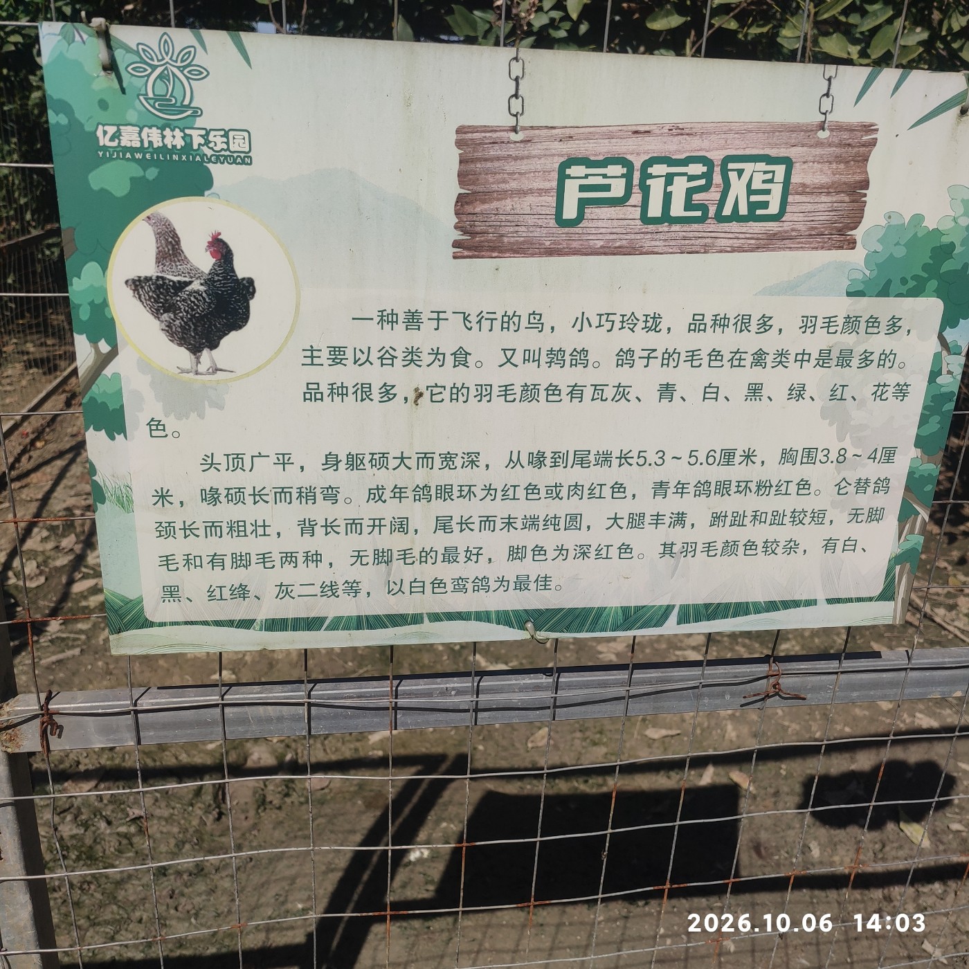 1791377961588.jpg