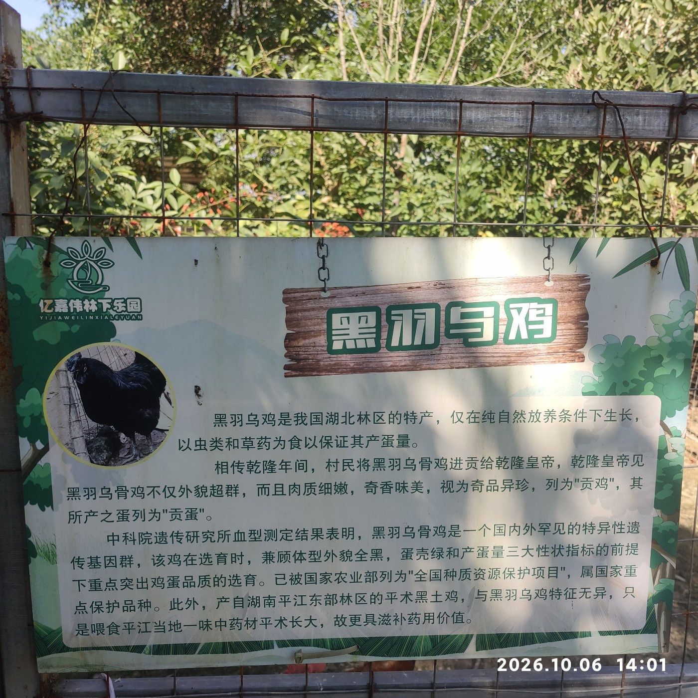 1791377961717.jpg