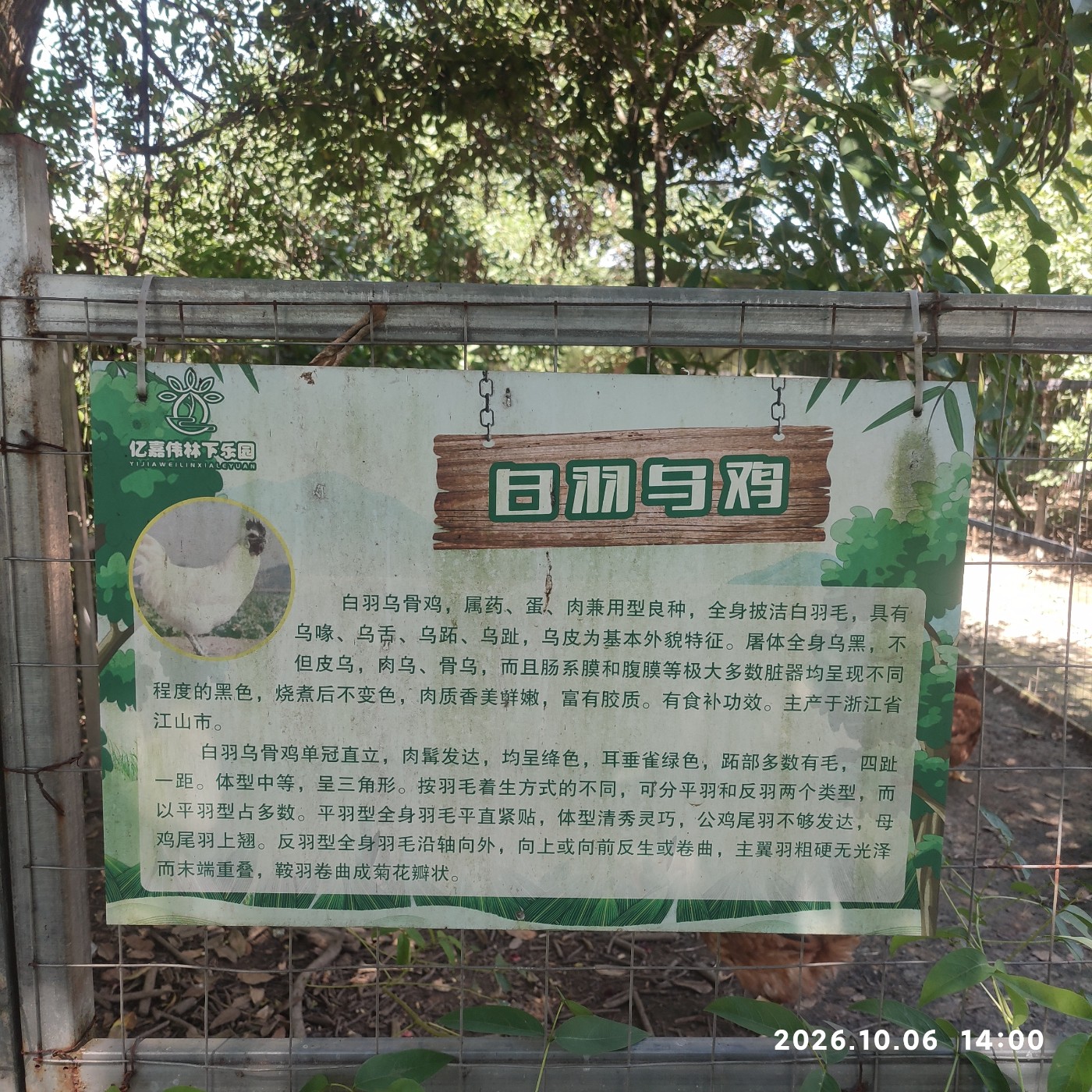 1791377961834.jpg
