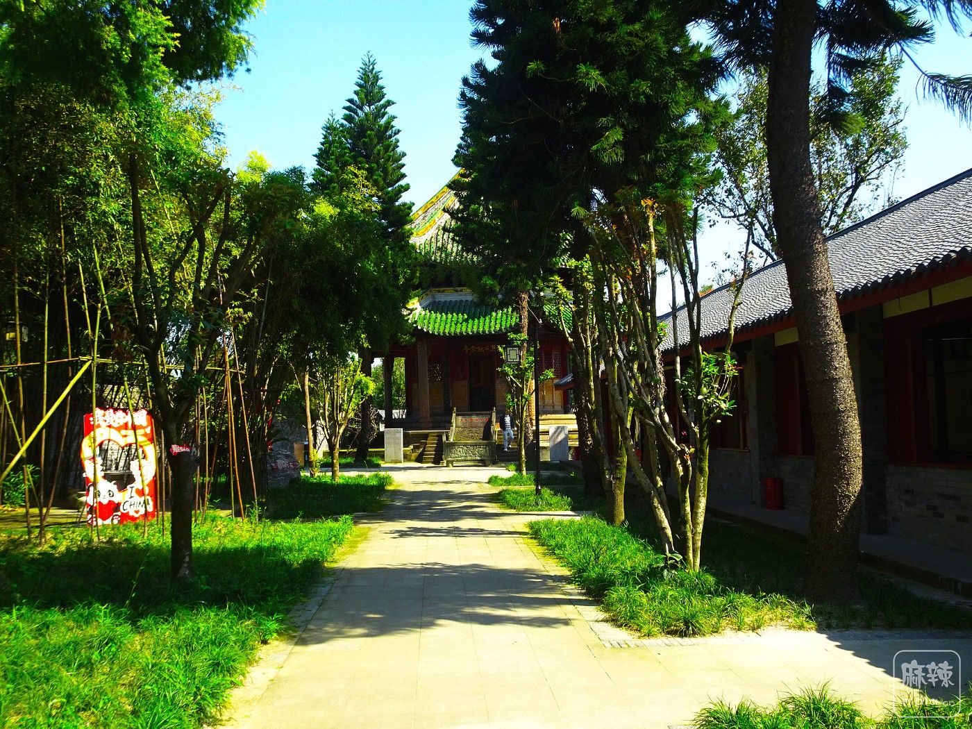 DSC00174.JPG