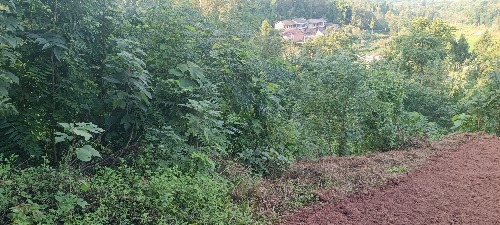 IMG_20261007_165948.jpg