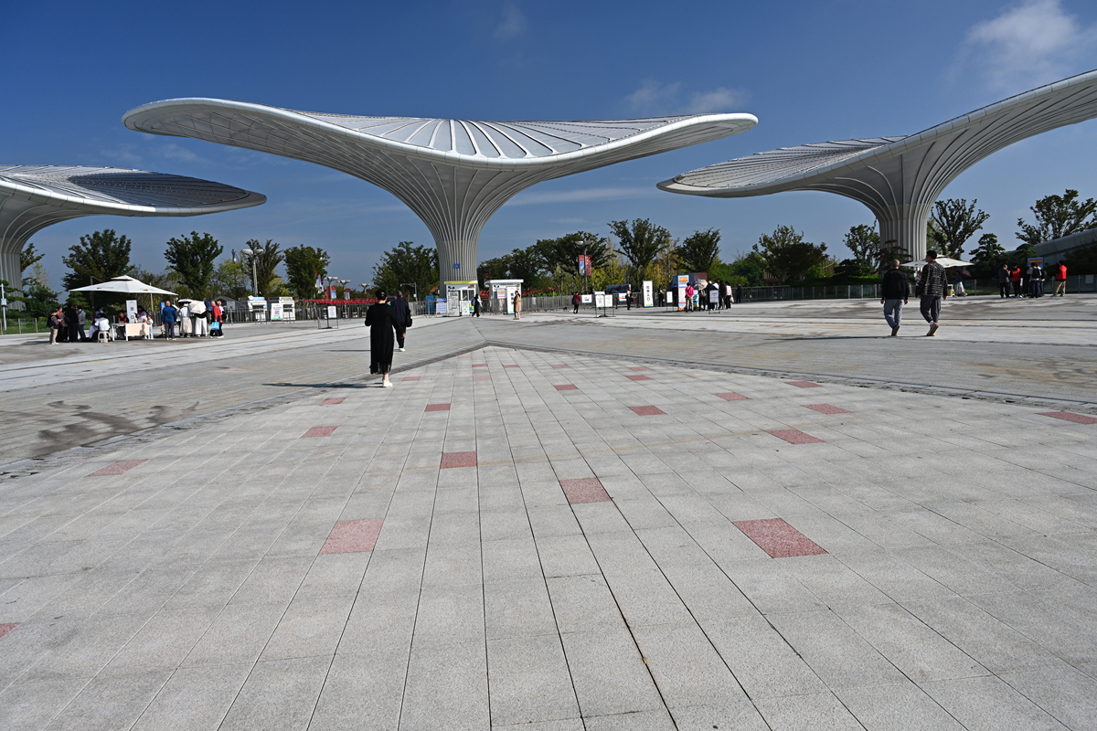 DSC_0550_����.jpg